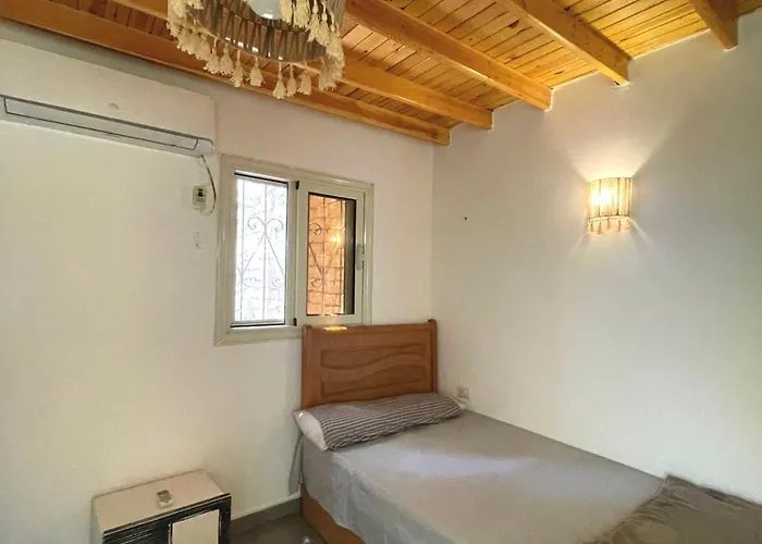 Cozy 1 Bedroom